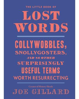Little Book Of Lost Words (Ten Speed Press)