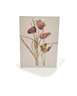 Charles Rennie Mackintosh Fritillaria Greetings Card