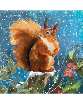Red Squirrel Christmas Cards Pack of 8